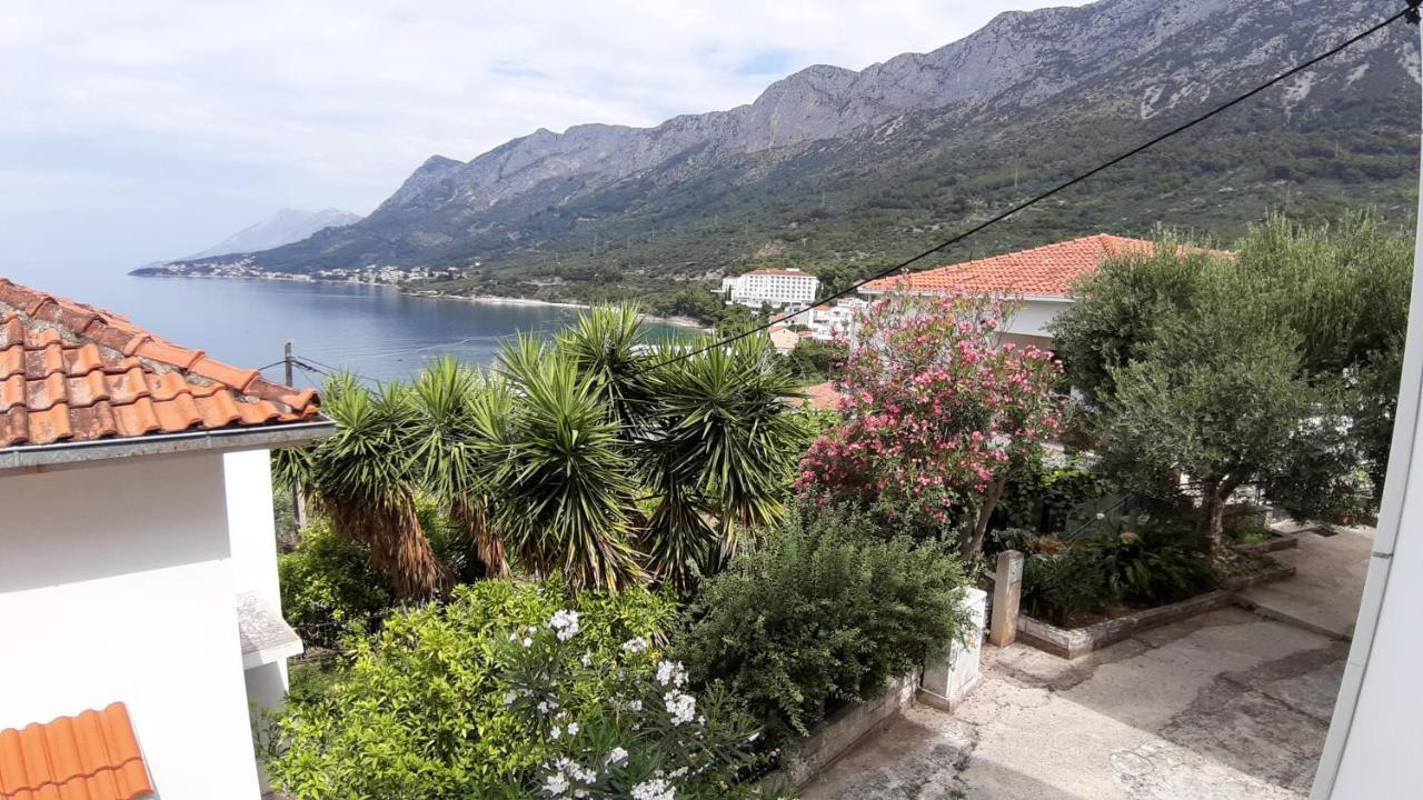 Apartmani Lara Gradac  Εξωτερικό φωτογραφία